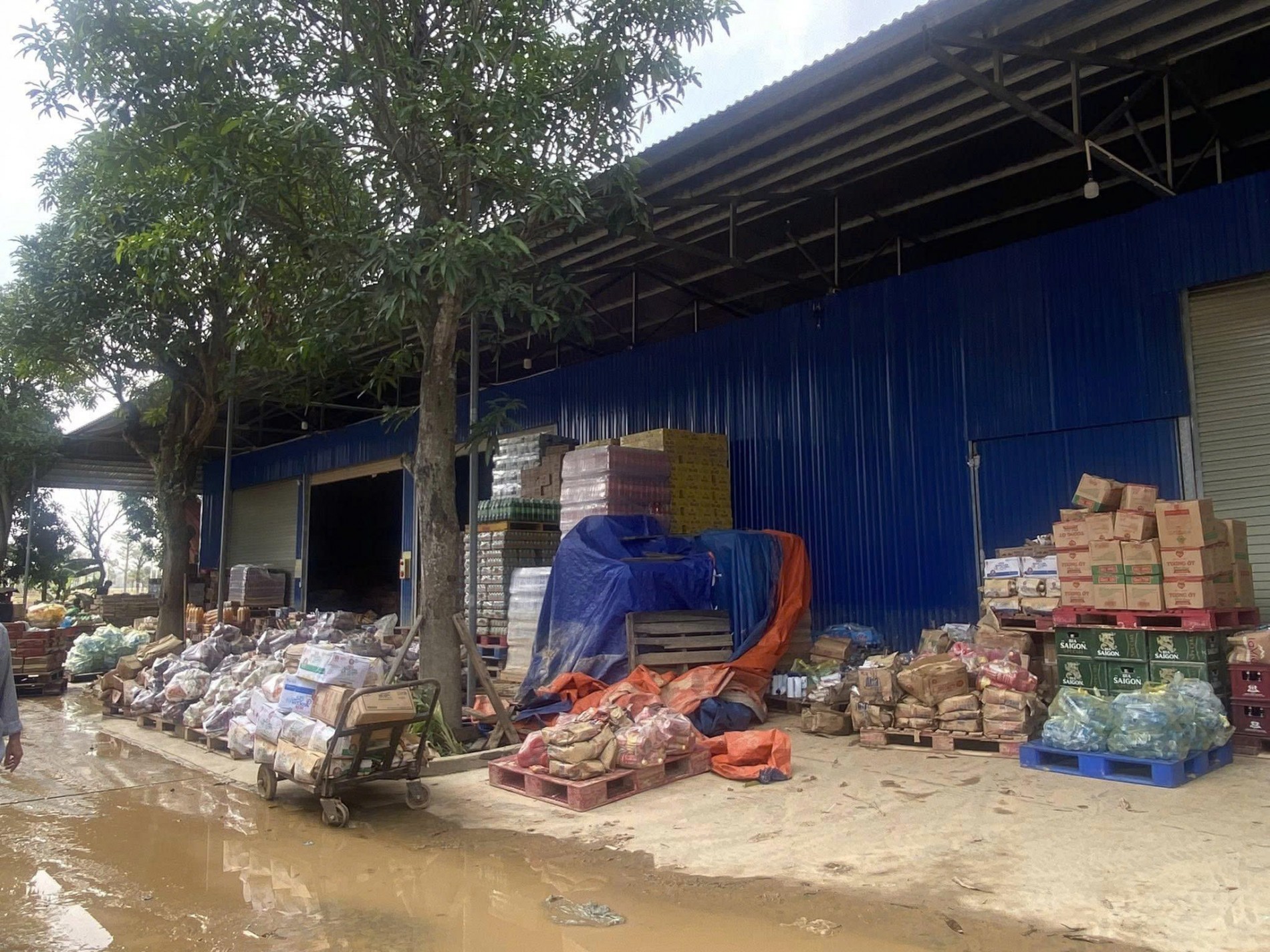 61926e1f6667eb39b276