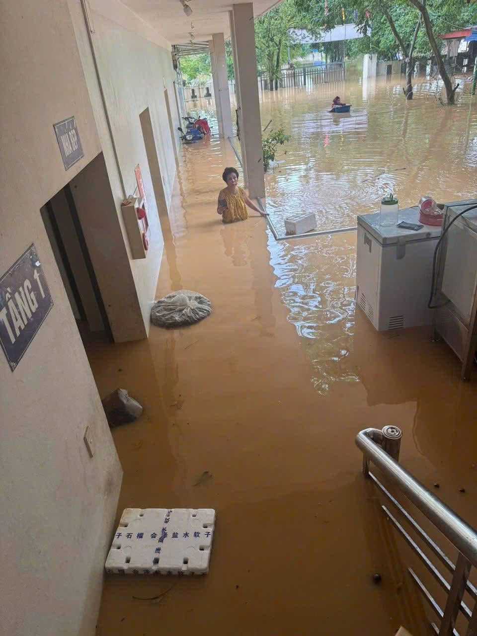 f3e2e553ed2b6075393a