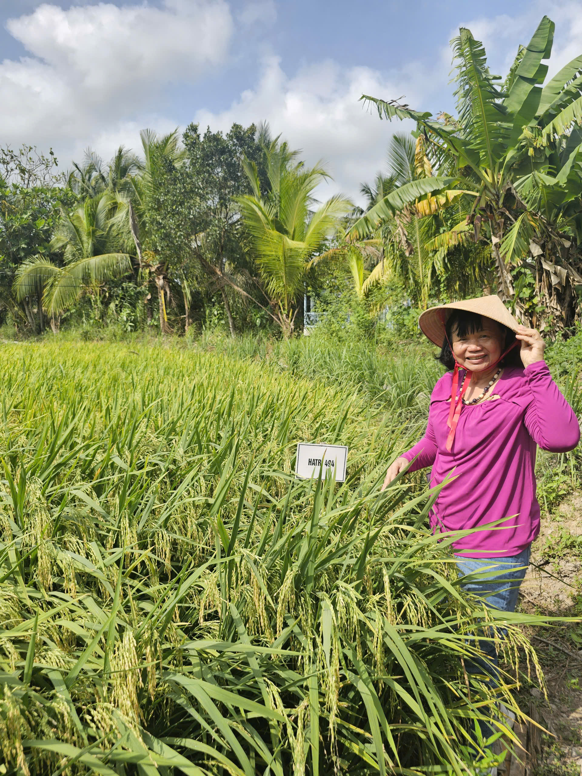 &nbsp;GS.TS Nguyễn Thị Lang, Chi hội trưởng Chi hội NTT vùng Đồng bằng sông Cửu Long