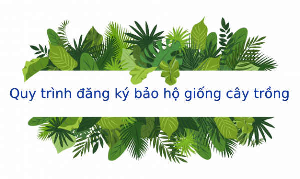 Giá trị bảo vệ quyền sở hữu trí tuệ trong nghiên cứu và phát triển nông nghiệp