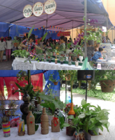 Đổi mới hoạt động thu hút chị em chung vui ngày Phụ nữ Việt Nam 20/10 ở Chi hội NTT Viện nghiên cứu nuôi trồng thủy sản 1