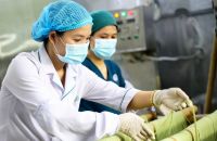 Nữ giám đốc trẻ biến sâm dại thành tiền